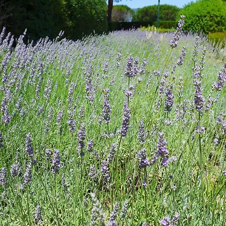 La Graziosa Lejlighed
