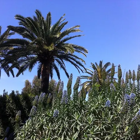 La Graziosa Lejlighed